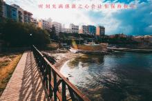 ����Э���ϰ����������������� ���������𡢳�����ǰ��