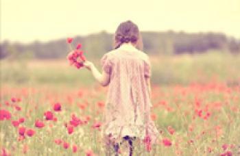 ���������������߳�¯��ȡ����ḧ���� 3������Ӥ�׶��ջ��ѽ������˰�۳�