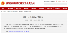 这175家都是假央企!