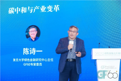2023绿金论坛|陈诗一