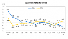 2024年1月份居民消费